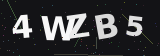 CAPTCHA code